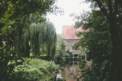 itsspfw:  englishsnow:  Oxford by hjartesmil