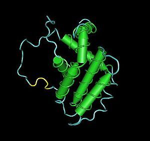 Il mangostano vs il tumore del colon
“[EN] - Anti-tumorigenicity of dietary α-mangostin in an HT-29 colon cell xenograft model and the…”
View Post