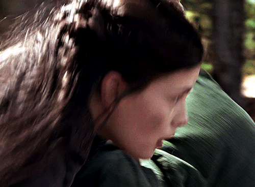 THE LORD OF THE RINGS || THE FELLOWSHIP OF THE RING