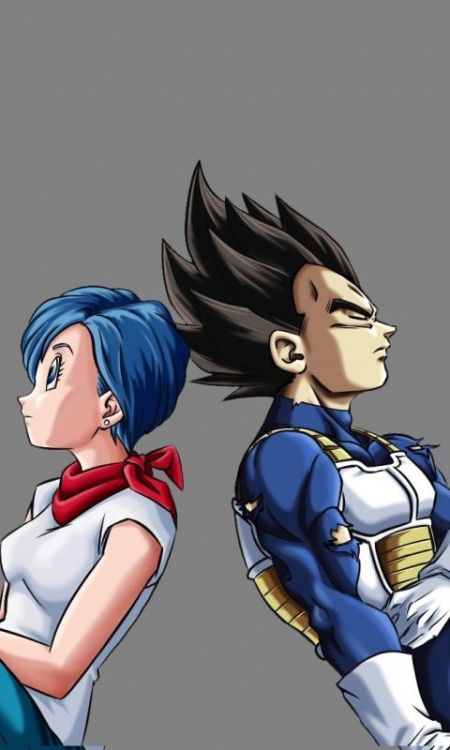 Bulma and vegeta, anime, dragon ball, minimal, 480x800 wallpaper @wallpapersmug : ift.tt/2FI