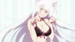 猫物語 Tumblr Posts Tumbral Com