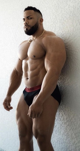 kikbear3: