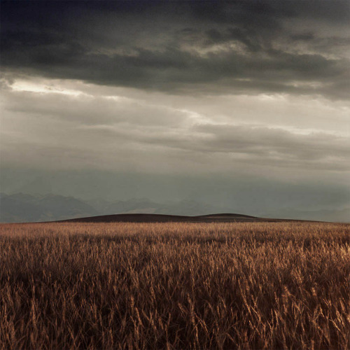 movementandwonder:  Michael Eastman - Landscapes 