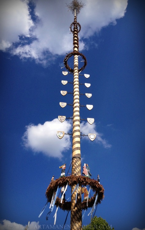 Maypole.June 2014, Bavaria, Germany. 