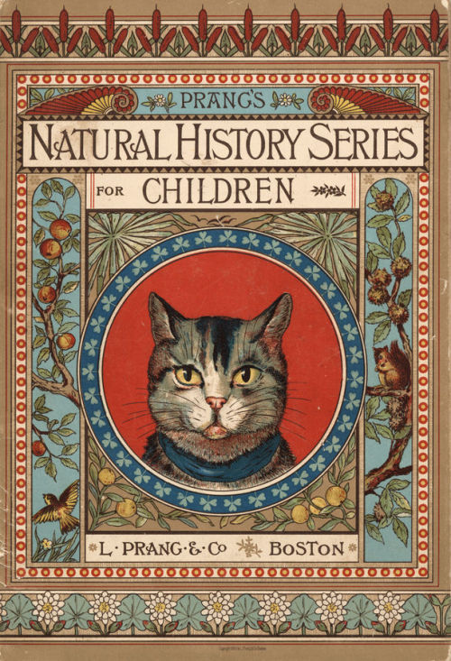 Prang&rsquo;s Natural History Series for Children. Cat family. Norman Allison Calkins and Abby Morto