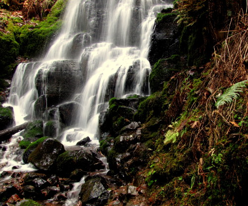 Fairy Falls, OregonNovember 2013 