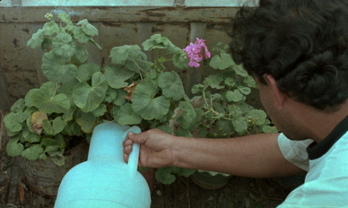 thelittlefreakazoidthatcould:Is your heart made of stone or what?Through the Olive Trees (1994) // d