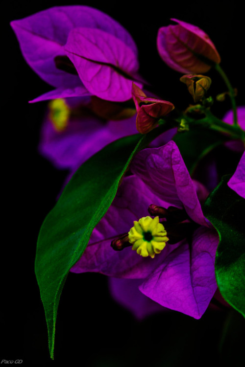 My Colorful World