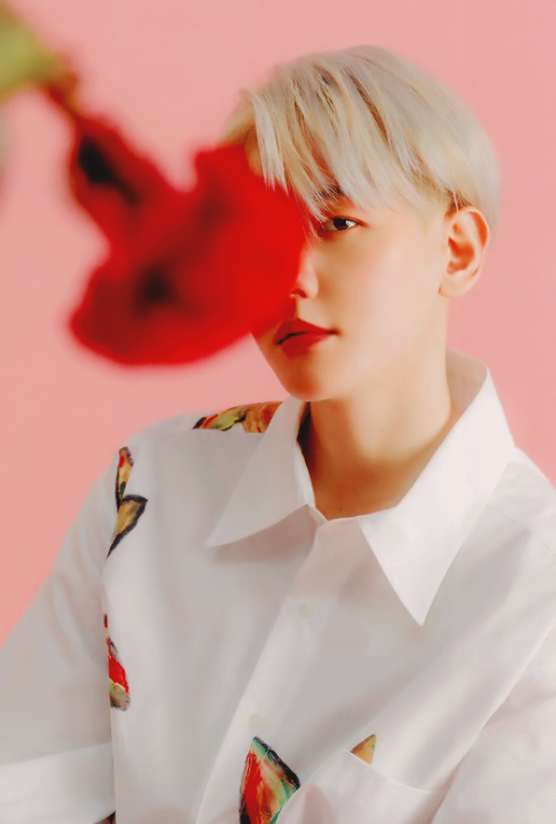 sefuns:Baekhyun — 「BAEKHYUN」 Album Booklet (Stars Ver.) 