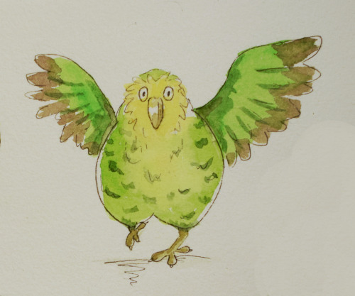 More Kakapo Doodles! The World Needs More Kakapos!