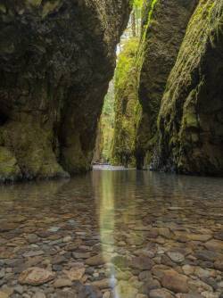 earthunboxed:  Oneonta Gorge, Oregon | by u/Dyatlovpass