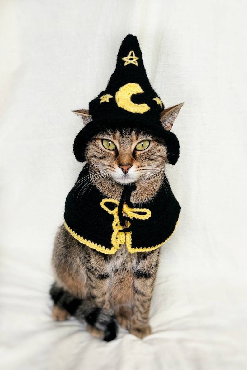littlealienproducts:Crochet Cat Costume by PurrsAndStitches