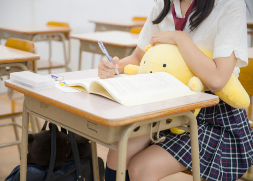 w0oser: 勉強会でした | うーさーぬいぐるみのその日暮らし