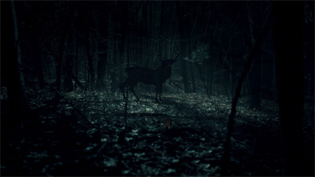 nbchannibal:  &ldquo;There was no animal in the chimney. It was all in my head.&rdquo;