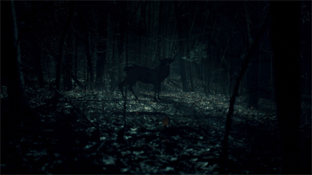 nbchannibal:  “There was no animal in the chimney. It was all in my head.”