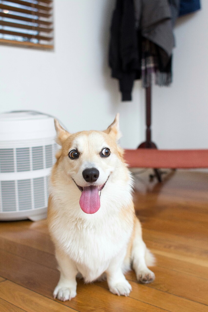trinketbaby:  Happy Tongue out Tuesday!