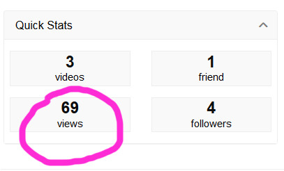Slowly building a page on XVIDEOS to house any non-Patreon exclusive videos I make. And these are my stats so far after 24 hours.  Not important in the least, but I just wanted this screencap to exist for the rest of time XD
