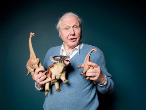 idlesuperstar:David Attenborough, January 2016, by David Levene for The Guardian [x]