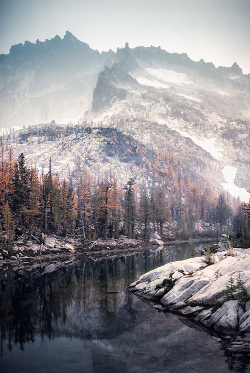 naturexphotography:  Following back 