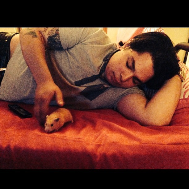 Not too sure which of my baby boys is cuter ❤🐹 #boyswithhamsters