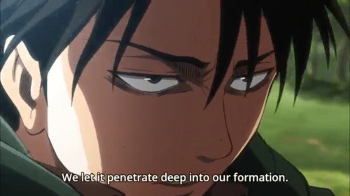 hippolascaged:  I’d let you penetrate deep into my formation if you know what i mean  Mmmm…Levi’s formation…