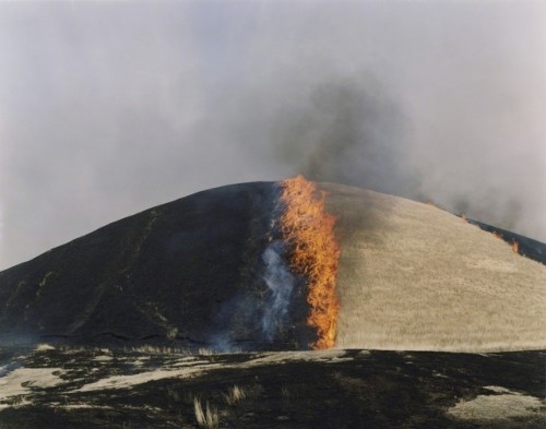 virginian-wolf-snake: Rinko Kawauchi, Ametsuchi series (2012-2013) What inspired me was a dream I ha