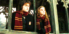 laufeysohn:  Harry Potter gifspam  Goblet of Fire 