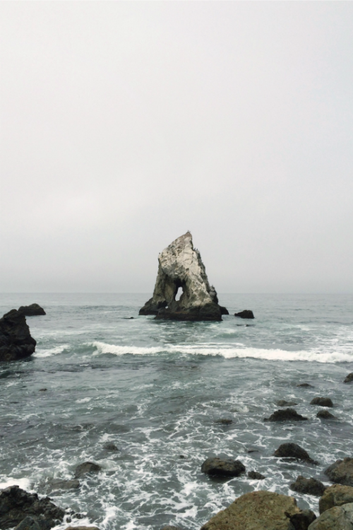 expressions-of-nature:  by Vadim Shindy 