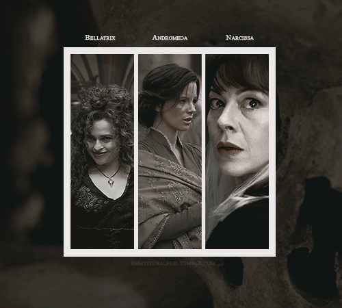 sincerelysansa: toujours pur; ladies of the noble and most ancient house of black.