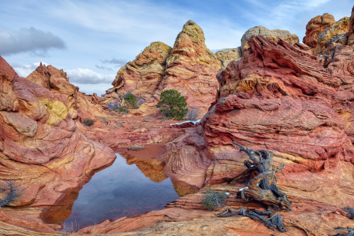 Daily loaf of rock&hellip;Vermilion Cliffs National Monument, Arizona