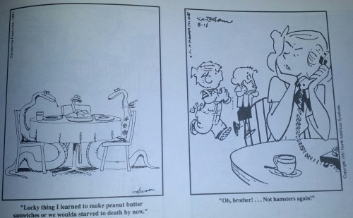 squadalaa: the captions for The Far Side and Dennis the Menace got mixed up twice in this paper