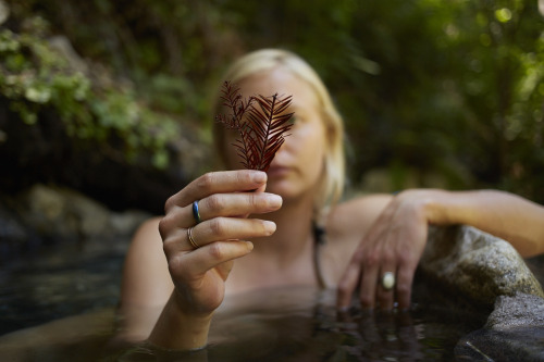 pascalshirley:Sykes Hot Springs