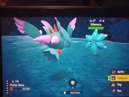 The Two Pokemon In Question.