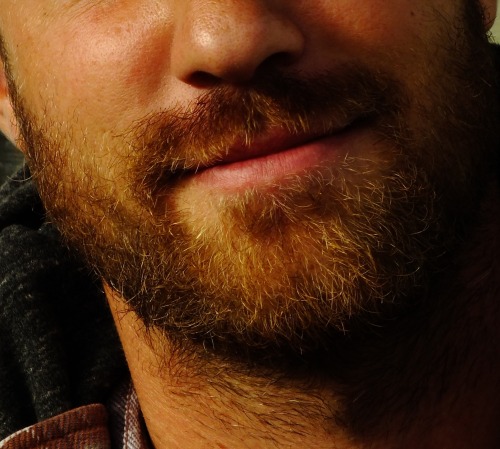 hairy nice men