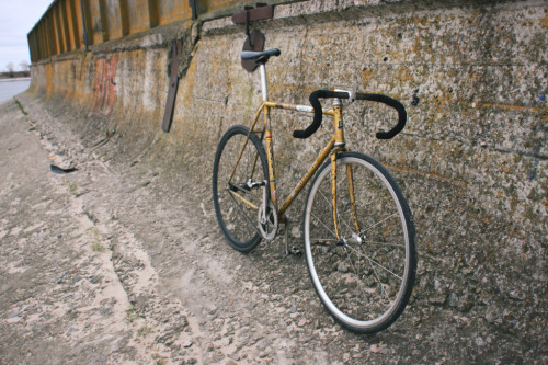 iamzolaa:  My ride at zookraine blog zookraine.com/hvz-mondays-dimas-sport-git/