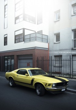 pimpmyycamel:  Ford Mustang Boss 302 by Alain Wallior.