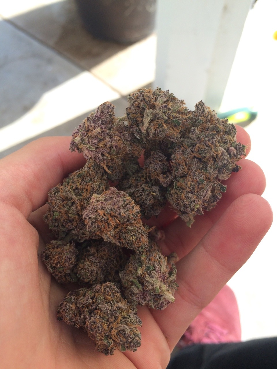 dabsandvveed:  7gs of purple train