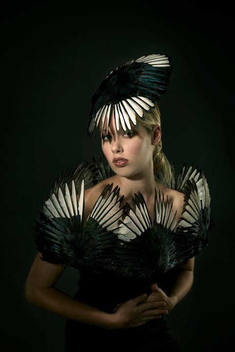 Jess Eaton, Roadkill Couture1. Black pheasant2. black ram horns and horse tail3-4. crow and rook win