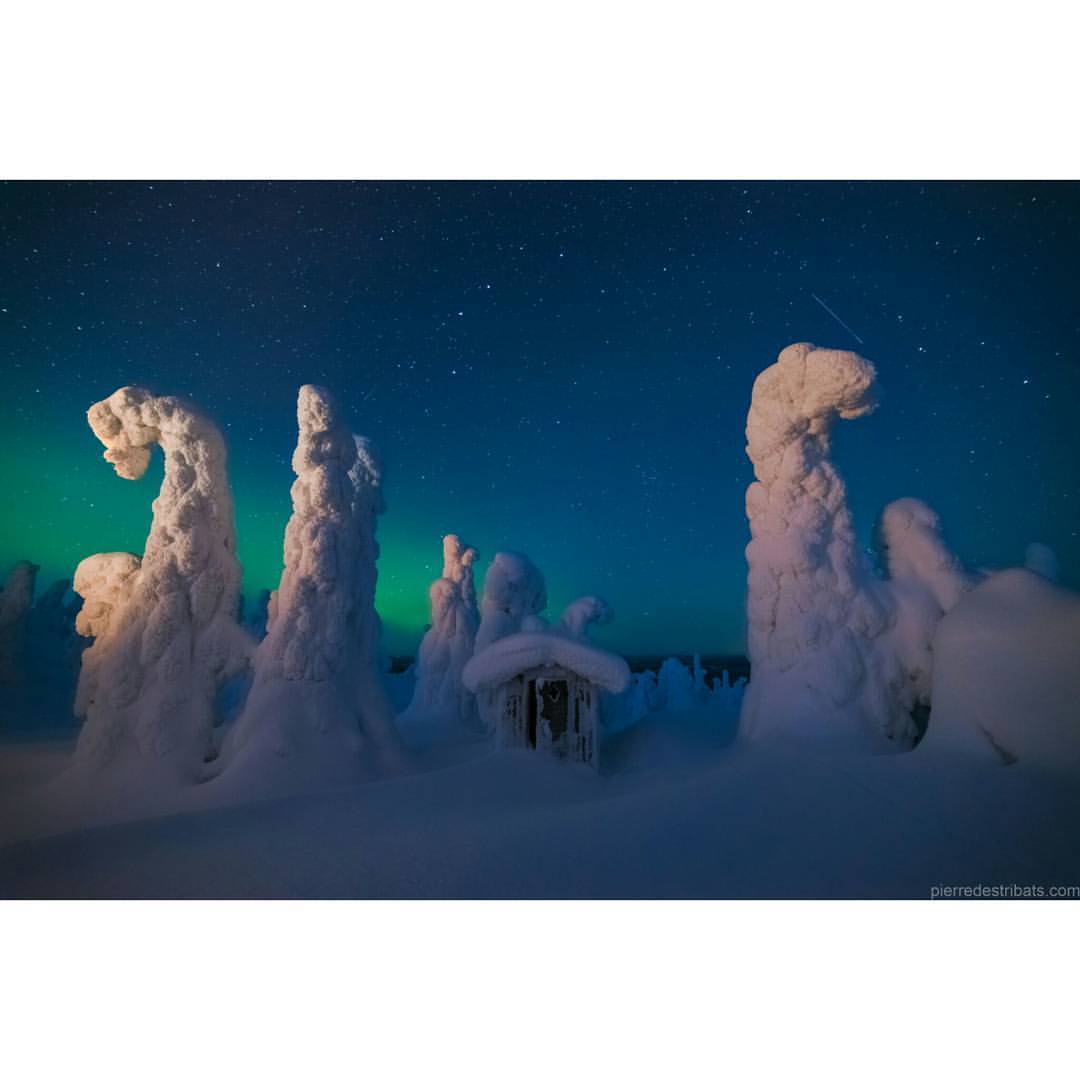 Sentinels of a Northern Sky #nasa #apod #snow #trees #snowtrees #outhouse #aurora