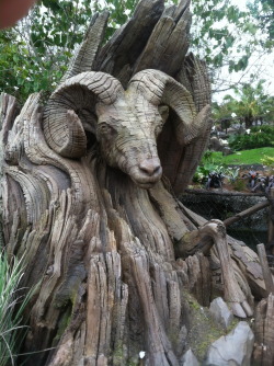 sixpenceee:  A carved ram’s head emerging from an old tree trunk. 