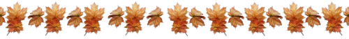  Autumn / Coffee Dividers ౨ৎ ˖ ࣪ ⊹