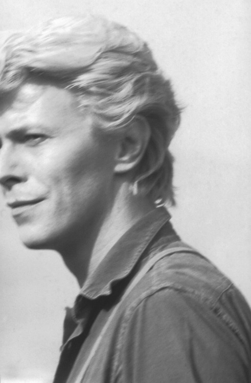 superblackmarket2-deactivated20: David Bowie photographed by Ann Summa