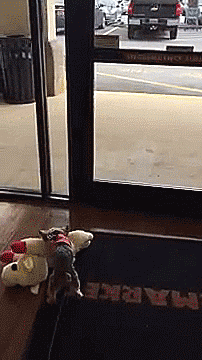 tastefullyoffensive:Lucy excitedly shops for a new toy. [full video]