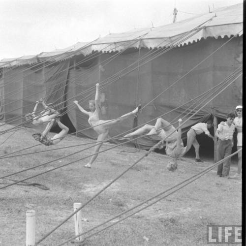 Winter home of the Ringling Bros. and Barnum & Bailey Circus(Nina Leen. 1949)