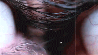 -Unleashing Free Spirits-