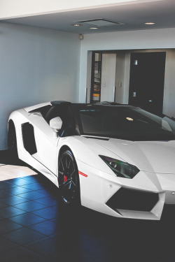 modernambition:   White Bull | Instagram  