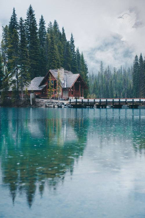 teapalm:(Tasha Marie) | Emerald Lake Lodge, BCwebsite | instagram | facebook