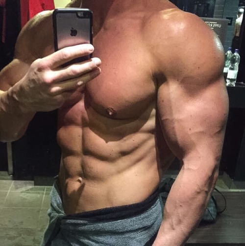 Adonis Files