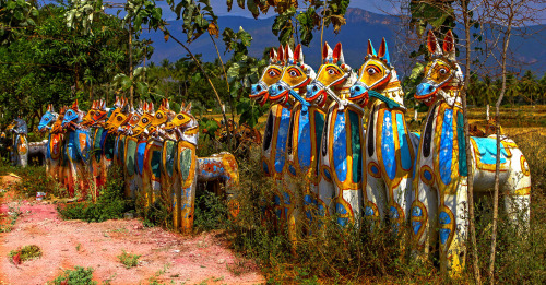 Terracotta horses at Ayannar shrine, Tamil Nadu