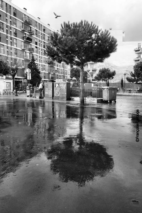 francoise-larouge:Après la pluie; After the rain Photo ©2014-Françoise Larouge
